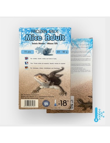 Souris - IQF - 23-30 g