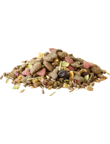 VERSELE - Crispy Muesli Guinea Pigs