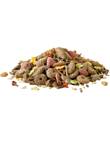 VERSELE - Crispy Muesli Rabbit