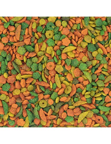 VERSELE - Nutribird P19 Tropical