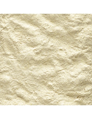 VERSELE - Nutribird A21 - 800 g