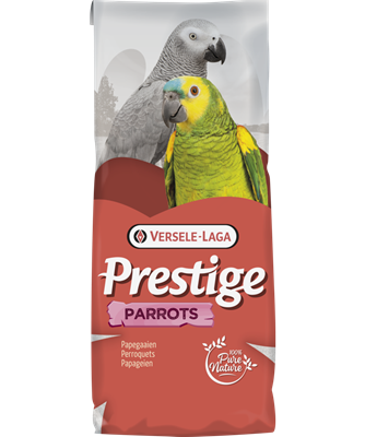 Prestige Perroquets