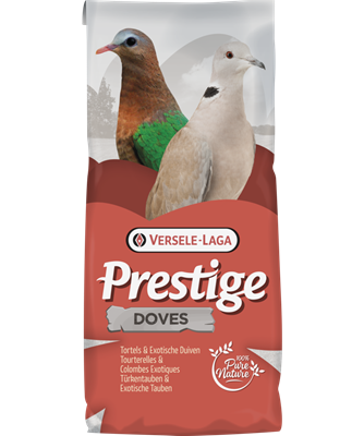 Prestige Doves/Turtledoves