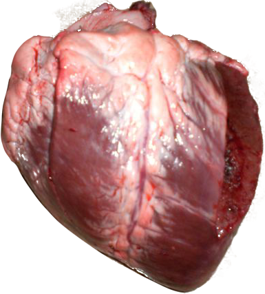 Beef - Heart - BLOCK