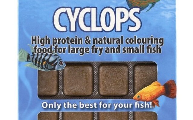 Cyclope congelé BLOC 100 g