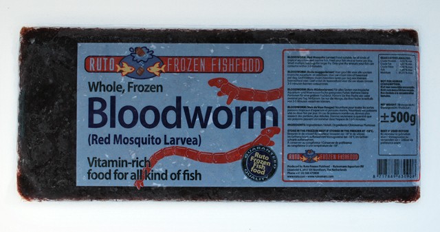 Frozen Bloodworm 500 g