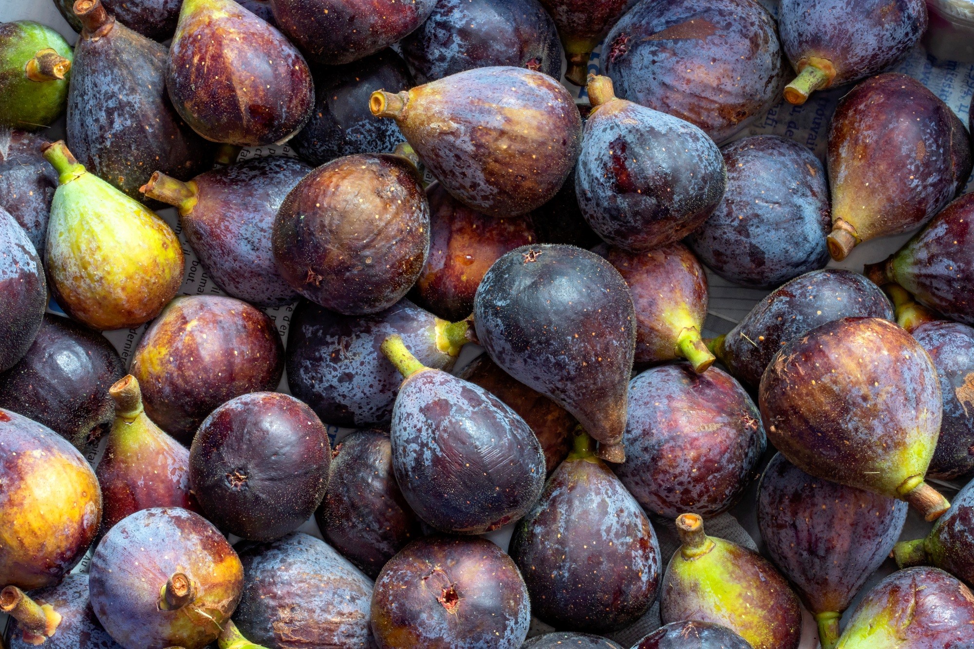 Purple Fig - IQF -...