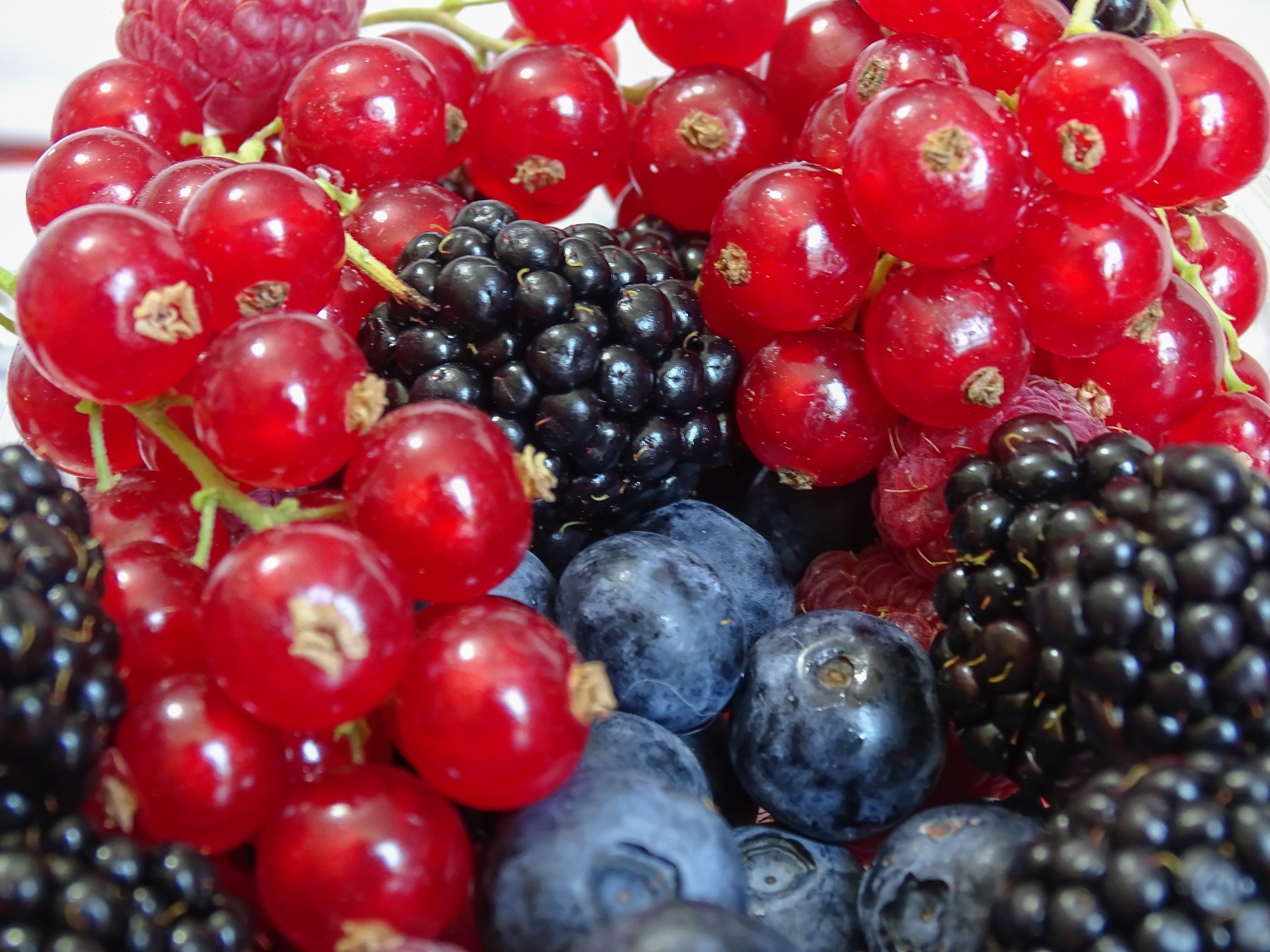 Redcurrant Blackberry...