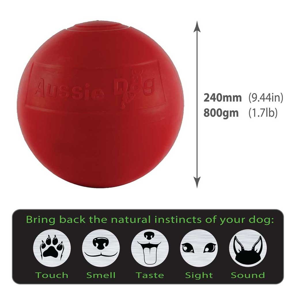 BEB2 Enduro Ball Large