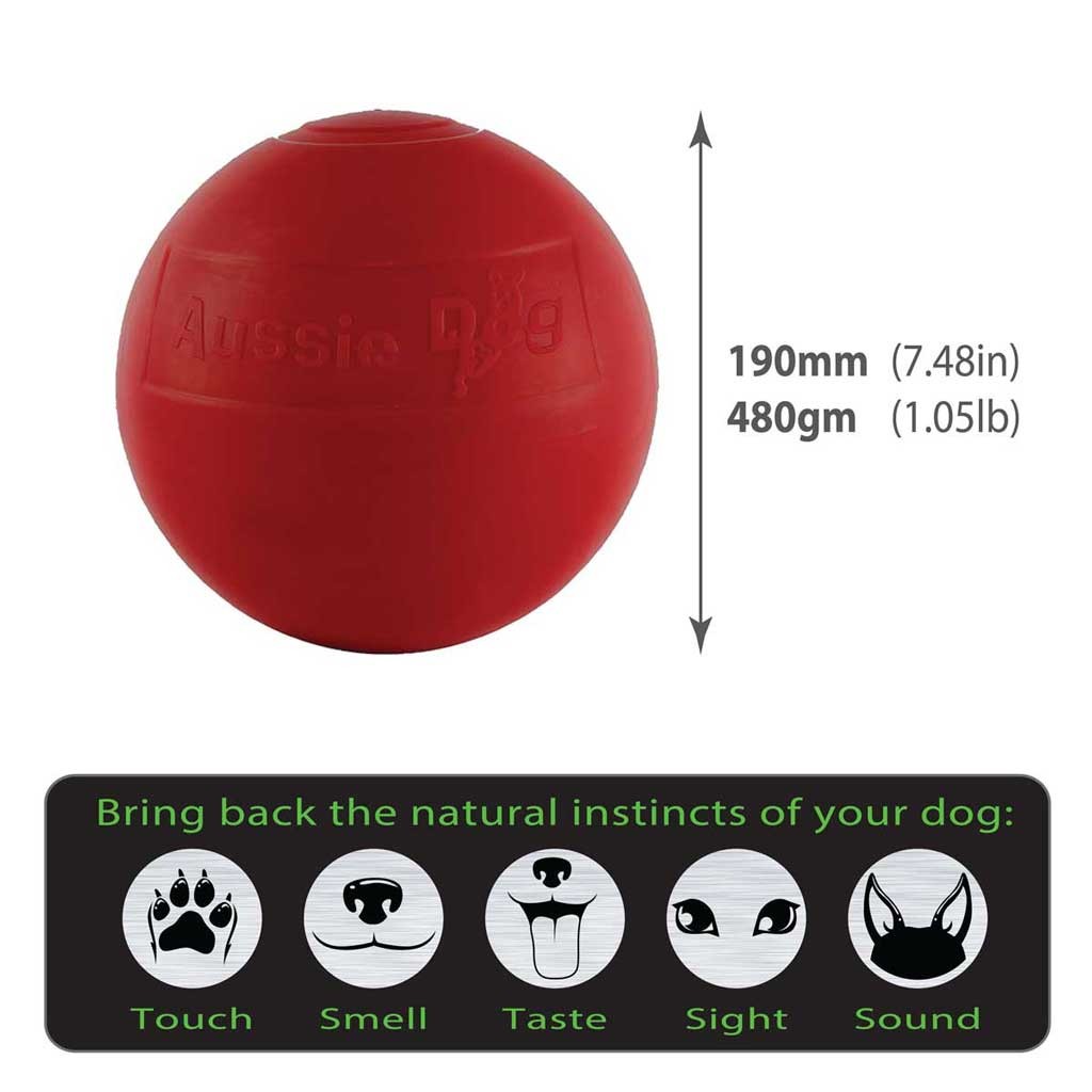 BEB1 Enduro Ball - Medium