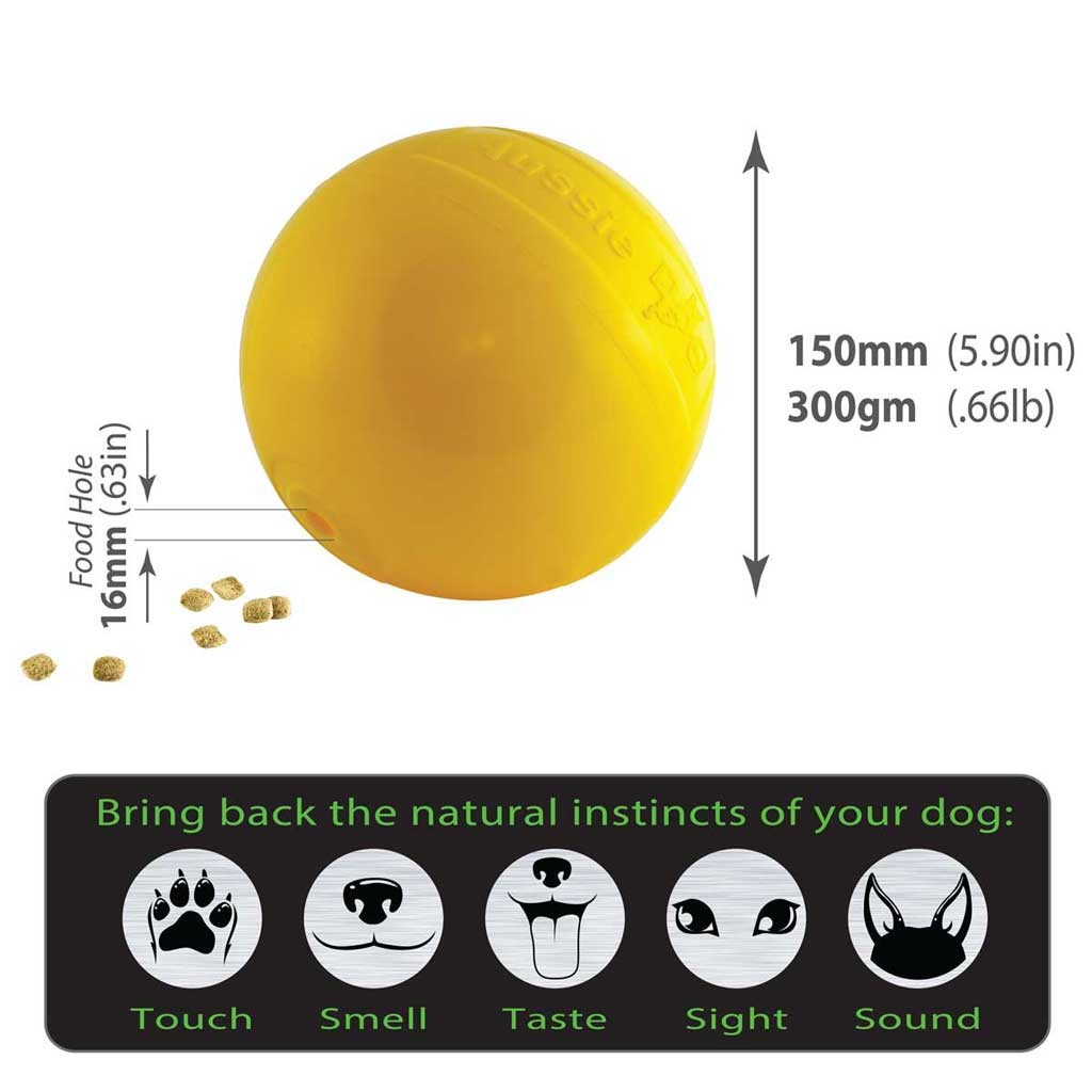 BTB3 Tucker Ball - Medium